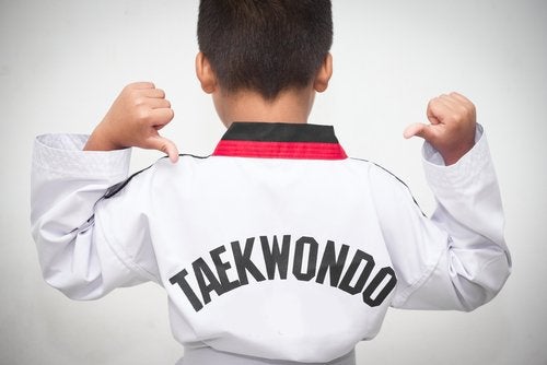 espalda nino taekwondo 500x334